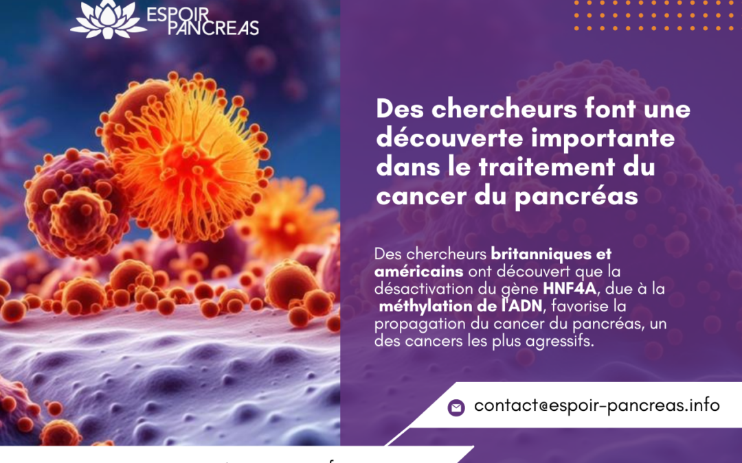 Des chercheurs font une découverte importante dans le traitement du cancer du pancréas 